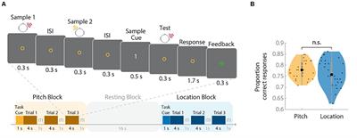 Decoding Spatial Versus Non-spatial Processing in Auditory Working Memory